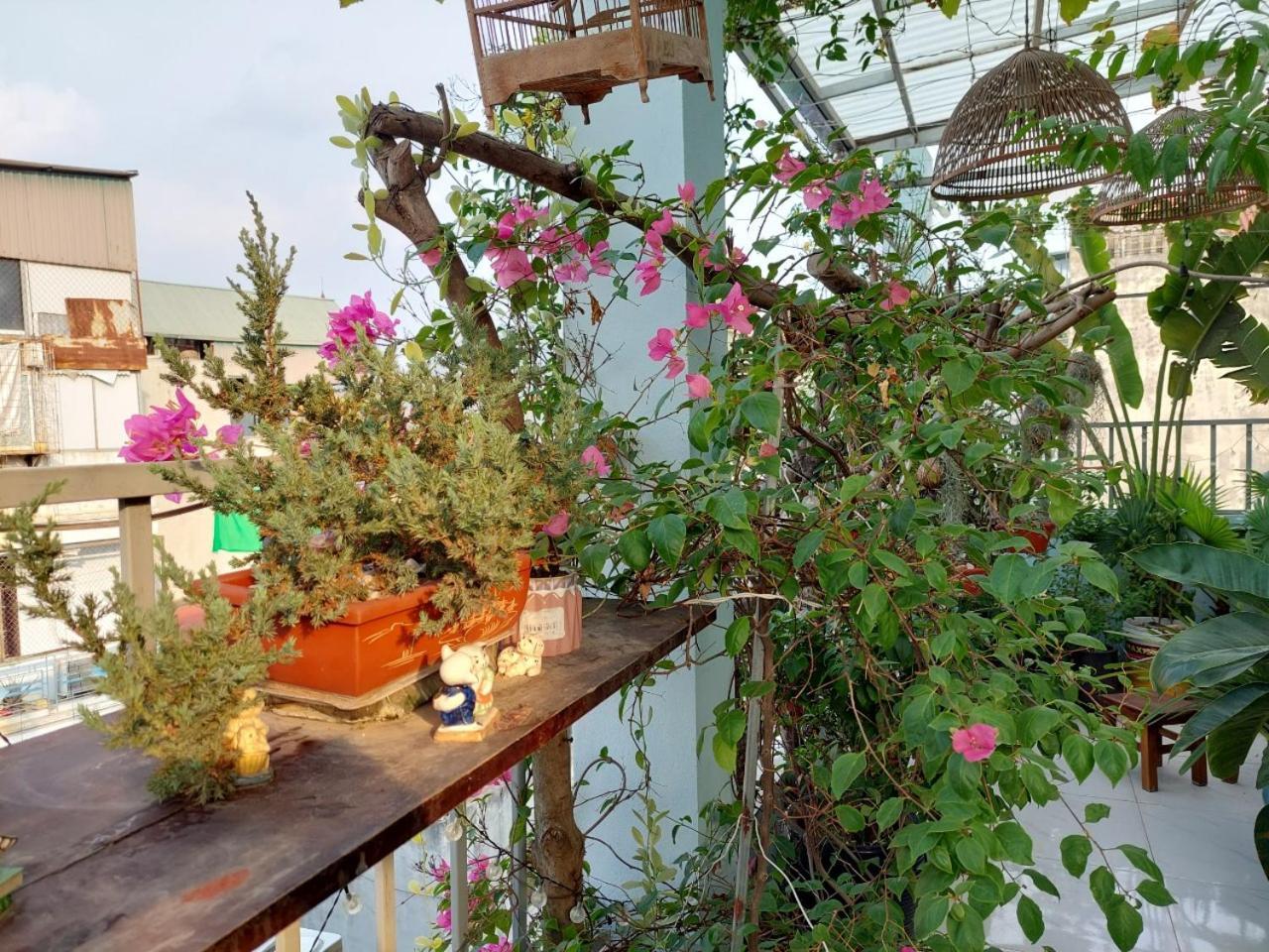 Alleyhomestay 2 河内 外观 照片
