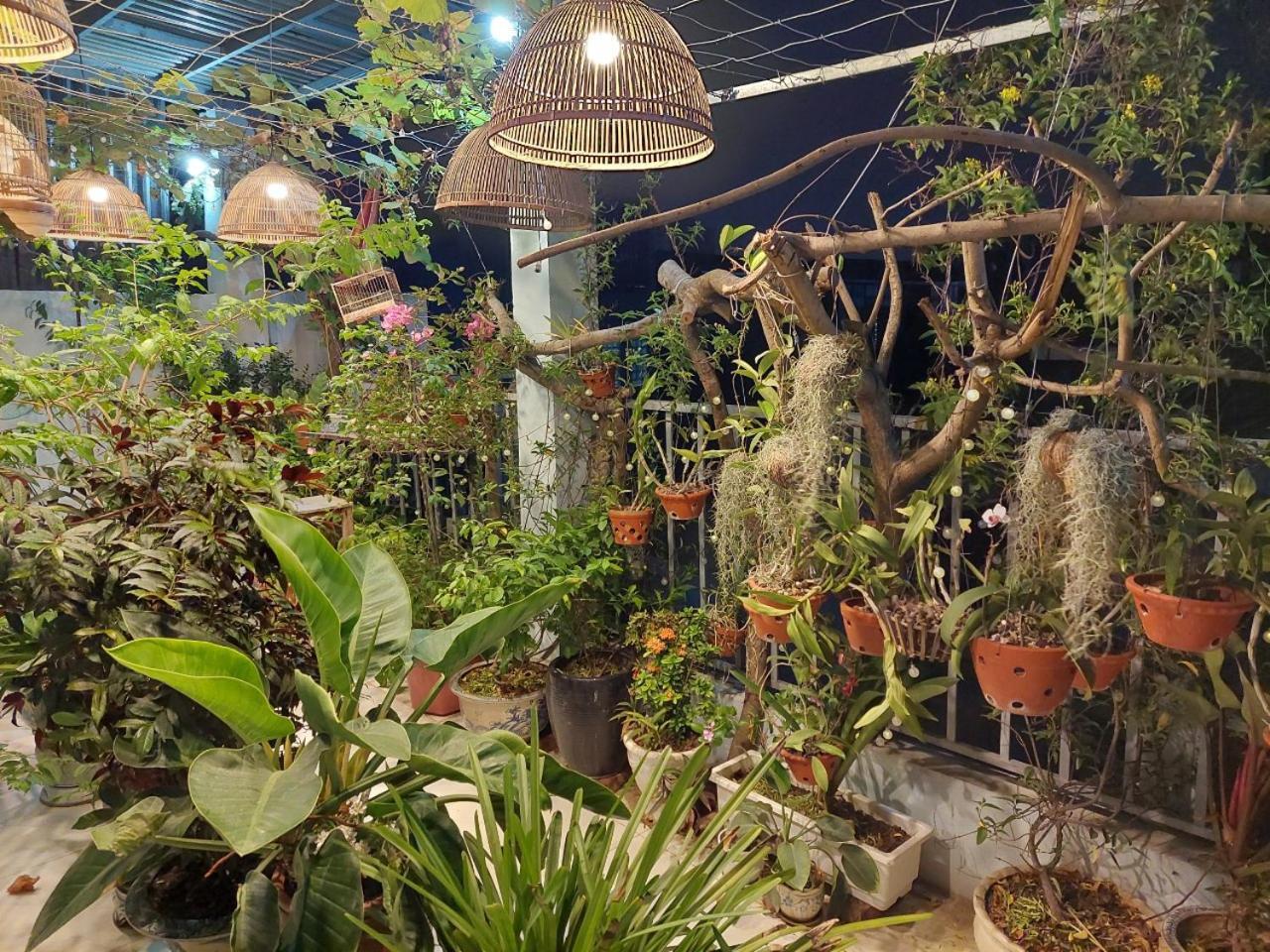 Alleyhomestay 2 河内 外观 照片